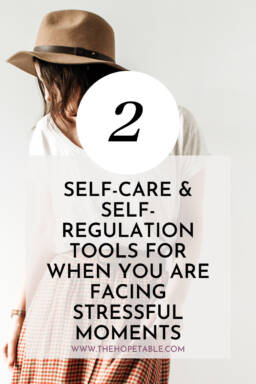 Self-care and self-regulation tools for Christian women Pin for Pinterest