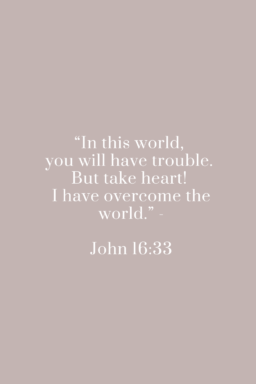 John 16 verse 33
